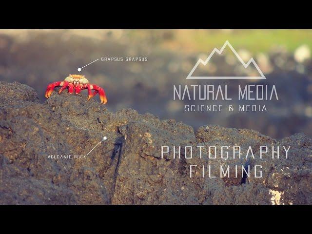 The Natural Media - Science, Education, Environment and Media