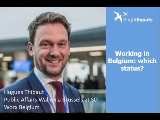 Bright Expats   KBC Brussels Webinar 19 11 2020    Working in Belgium, Which status?