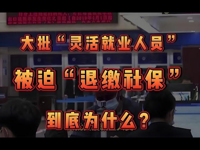 大批“灵活就业人员”，在被迫“退缴社保”？究竟是为什么？#灭活就业#养老金#民生#社保