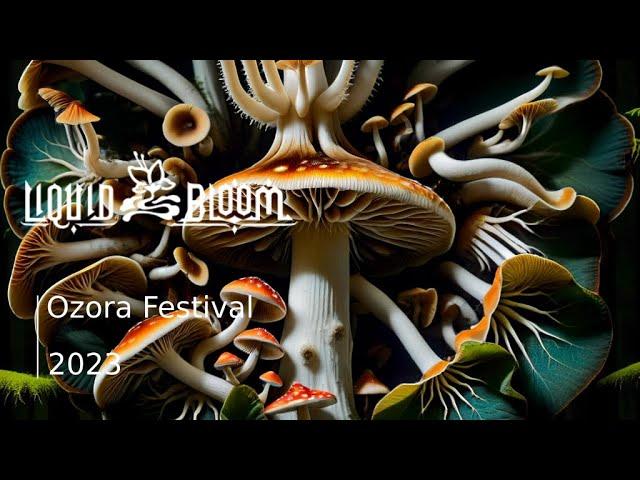 Liquid Bloom DJ Set @ Ozora AMBYSS Stage 2023