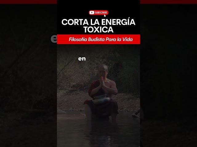  Aléjate de la Energía Negativa  Protege tu Paz Interior según el #Budismo #Bienestar #buda