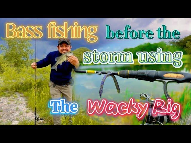 Episode 62: Bass fishing before the storm using wacky rig#bassfishinglures#lakefishing#wackyrig