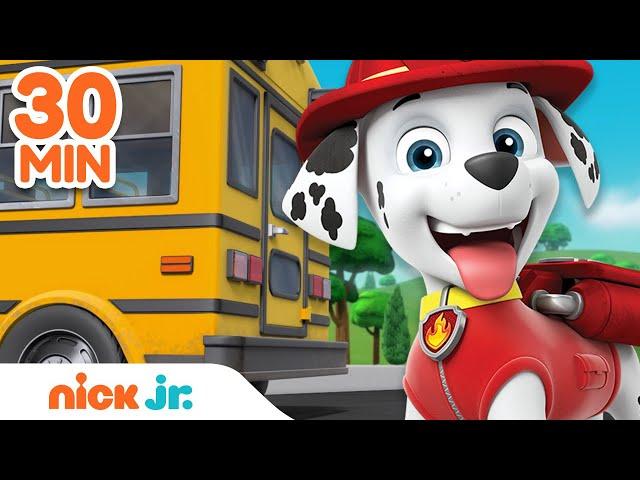 PAW Patrol Back to School Rescues & Adventures! | 30 Minute Compilation | Nick Jr.