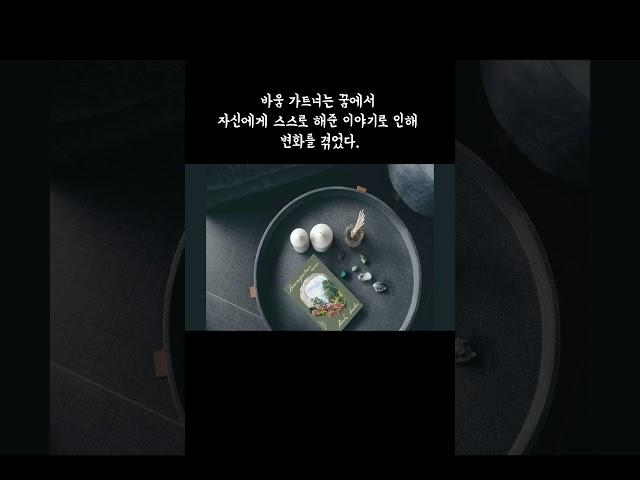 바움가트너 l 폴 오스터 l 열린책들  #폴오스터 #열린책들 #낭독 #독서 #인생책 #korean