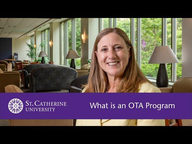 What is an OTA Program?