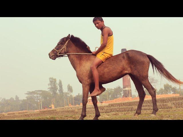best horse rider miju in Bangladesh || amazing horse racing in village || Fishing Master BD