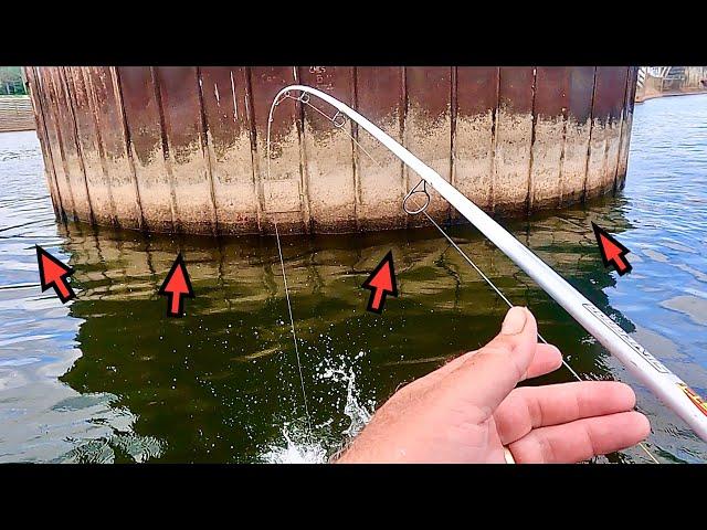 (WHEELER LAKE) Fishing below GUNTERSVILLE DAM on the TENNESSEE RIVER !!