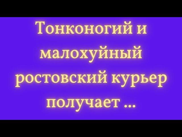 Жизненные приключения: захватывающие и душевные рассказы