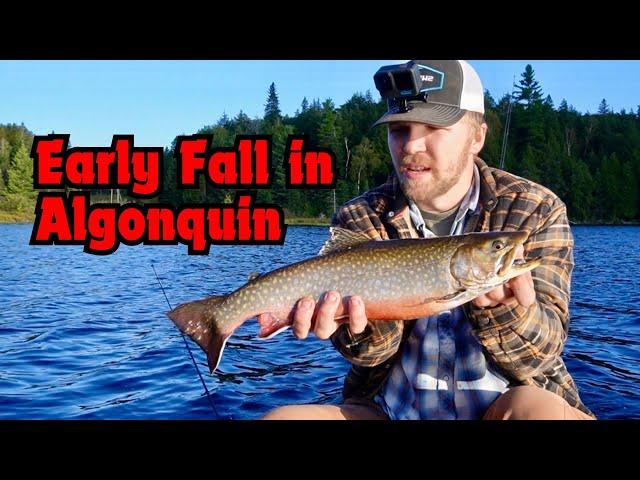 BIG BROOK TROUT FISHING - Trophy Sized Trout in Backcountry Waters