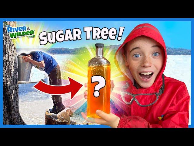 Maple Syrup Challenge!!! Kids make and eat syrup on EVERYTHING