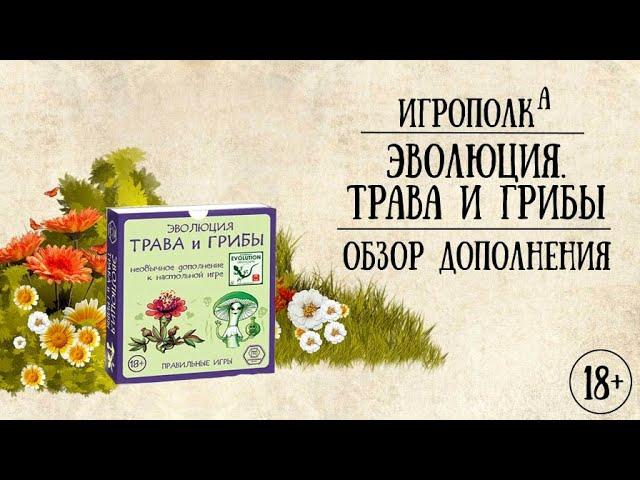 Эволюция. Трава и грибы.