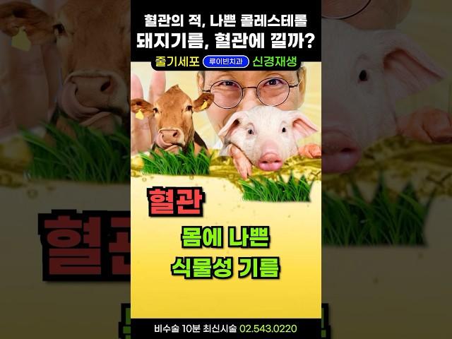 소기름 돼지기름, 정말 혈관을 막을까? 혈관에좋은기름 vs 혈관에나쁜기름, 혈관에좋은음식 추천 #혈관에좋은요리 #혈관청소 #혈관건강 #고기기름 #단백질음식 #포화지방음식 #돼지비계