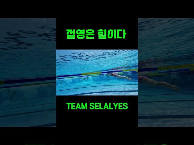 접영은 힘이다 #씰예스수영훈련팀 #씰예스 #swimming #일요일아침수영 #접영 #수영훈련