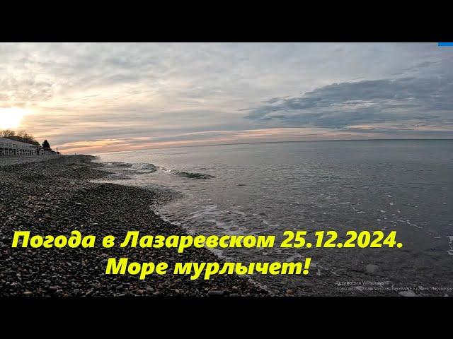 Погода в Лазаревском 25.12.24. Штиль!  ССылка в описании! ЛАЗАРЕВСКОЕ СЕГОДНЯСОЧИ.