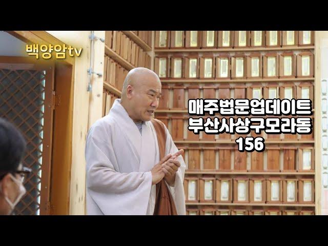 백양암 건성스님법문 불교는무엇인가