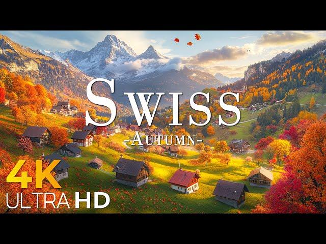 Swiss National Park Autumn 4K - Scenic Relaxation Film With Calming Music - 4K Video Ultra HD