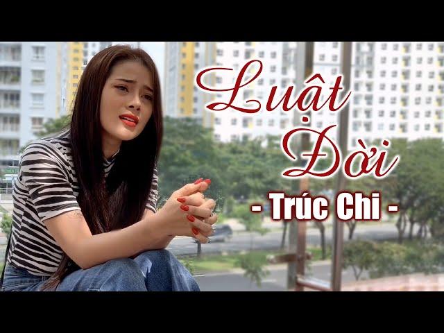 Luật Đời (Cover) - Trúc Chi | Ca Khúc Nói Về Cuộc Sống Thực Tại Ý Nghĩa Nhất