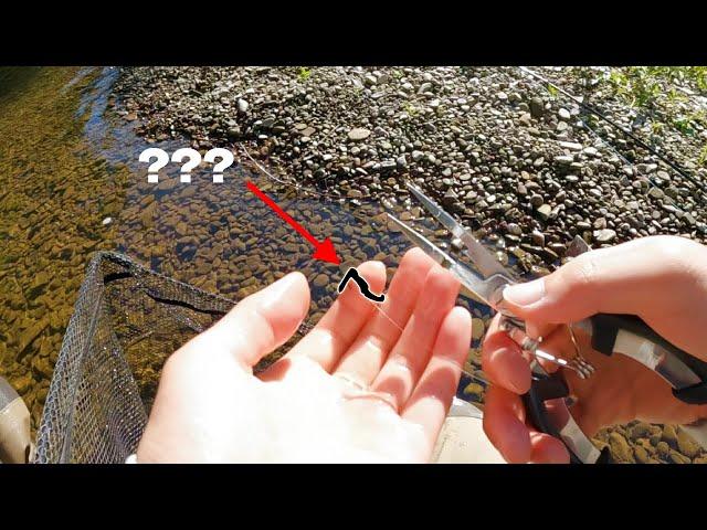 THIS "fly" NEVER fails to CATCH fish! | Fly Fishing