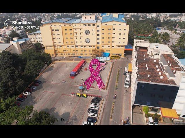 Pink Waves Through Basavanagudi