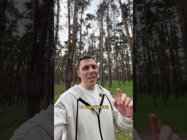Подписчики и клиенты из блога без рекламы @gavrilenkoteam ￼