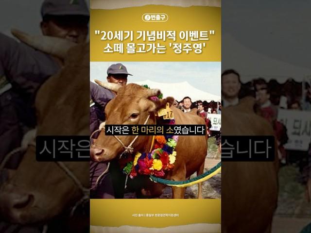 [5번출구] "20세기 기념비적 이벤트" 소떼 몰고가는 '정주영' / 머니투데이방송