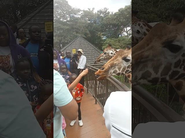 African Village Life//Neck Hugs And NibblesMUST WATCHRaw and Uncut#travel#travelvlog