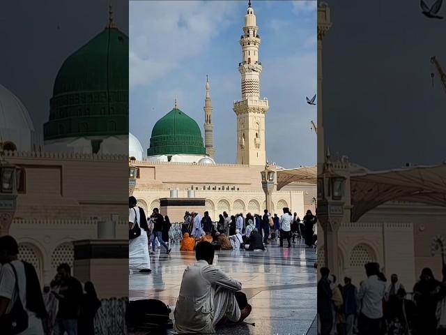 Metha Metha Hai Mere Muhammad ka Naam || Madina Status #shorts