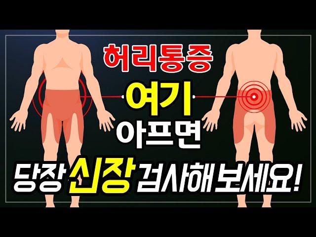 허리통증 없애는 방법 #8 신장병으로 허리가 아픈 경우 좋아지는 방법 | 힐링가이드 제오 | 신장병, 허리통증, 허리연관통