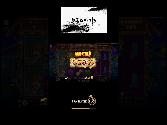 [슬롯][슬롯머신][프라그마틱] 도그하우스2 소액 즐기는 게임!![온라인슬롯][강원랜드]