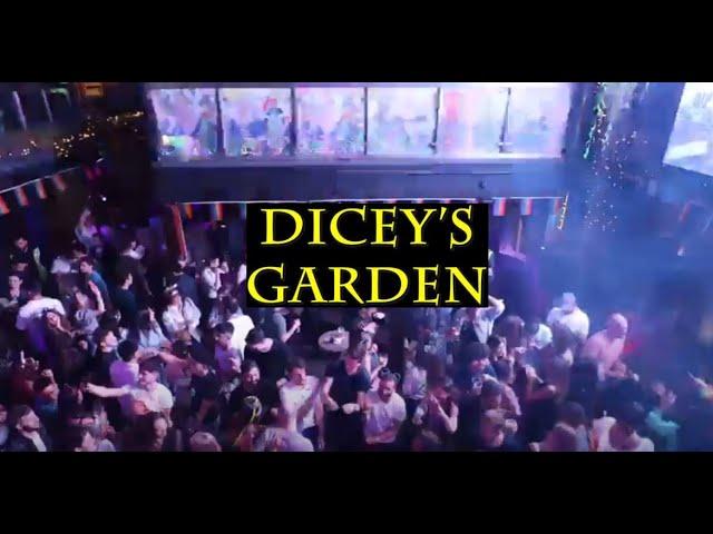 DICEYS GARDEN - SUNSET PARTY