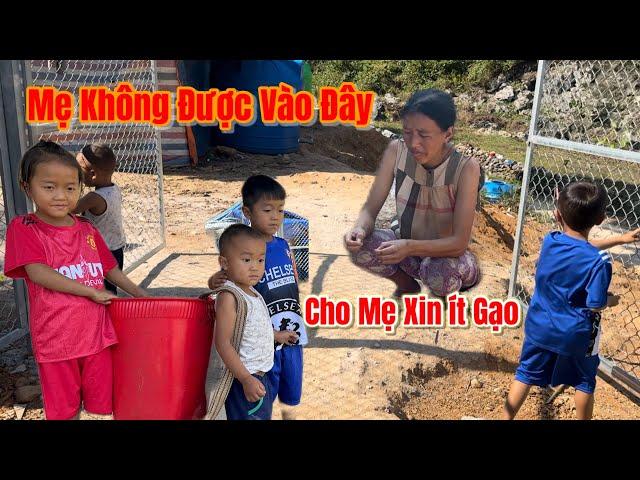 Bất ngờ Bắt Gặp người mẹ khốn nạn vô liêm sỉ của 3 cháu sống ở chuồng dê quay về xin gạo