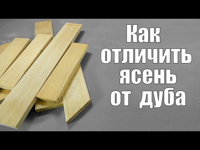 Как отличить  древесину дуба от ясеня Столярные уроки Ashwood and Oakwood