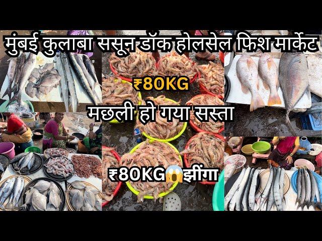 Sassoon Dock Fish Market Latest Video | Colaba Wholesale Fish Market | Colaba Fish Market Mumbai