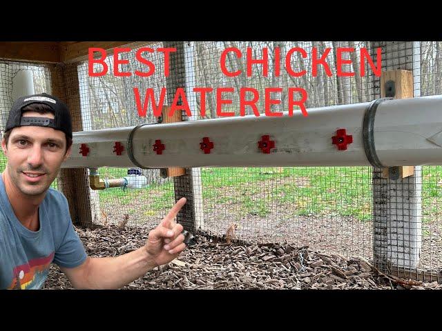 The Ultimate Chicken Waterer