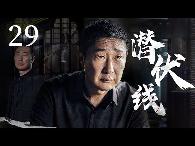 悬疑推理剧 |【潜伏线】29 罪犯铺手从细微线索入手，机智断案将对手逐一铲除（#林永健）中剧连连看