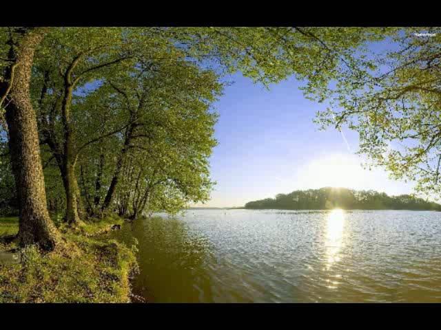Electro Lacey - Lakeside