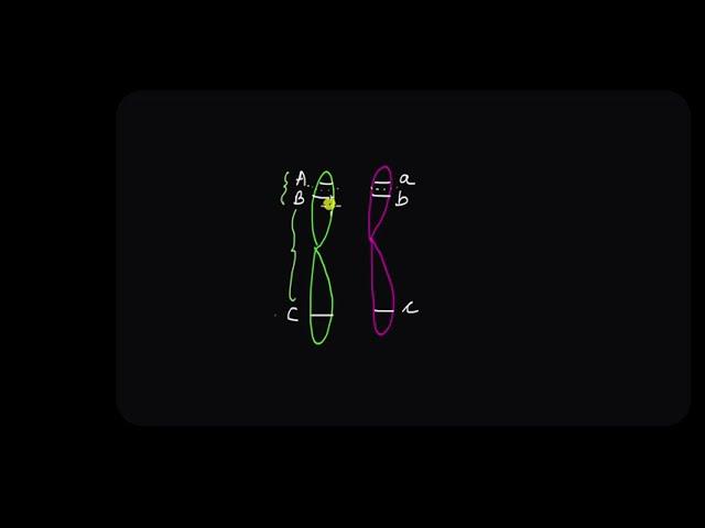 Linkage and Recombination | Principles of Inheritance and Variation | Biology | Khan Academy