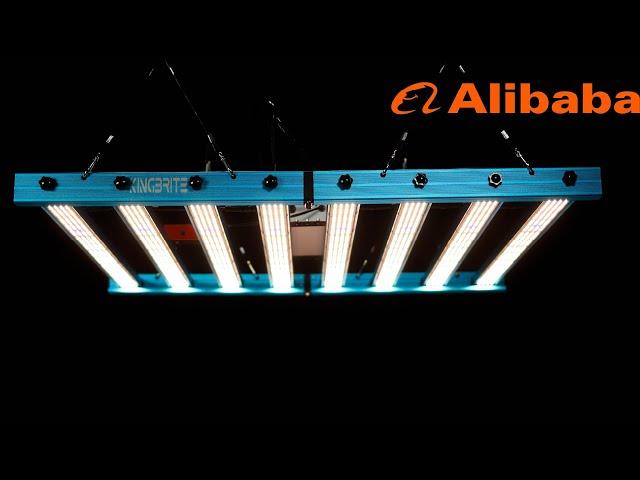 Kingbrite 800W Alibaba LED Grow light for a 5x5 grow tent with LM301H and added UVA and Far Red