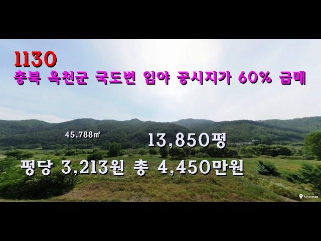 [번호 1130]옥천군 국도변 임야 공시지가 60% 평당3,213원