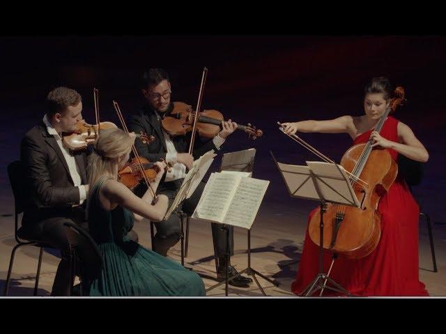 Edvard Grieg - String Quartet in g minor op. 27 - Nordic String Quartet (HD)