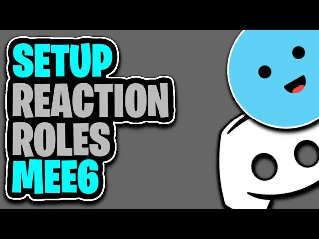 How To Set Up MEE6 Reaction Roles Discord Bot (EASY METHOD 2020)