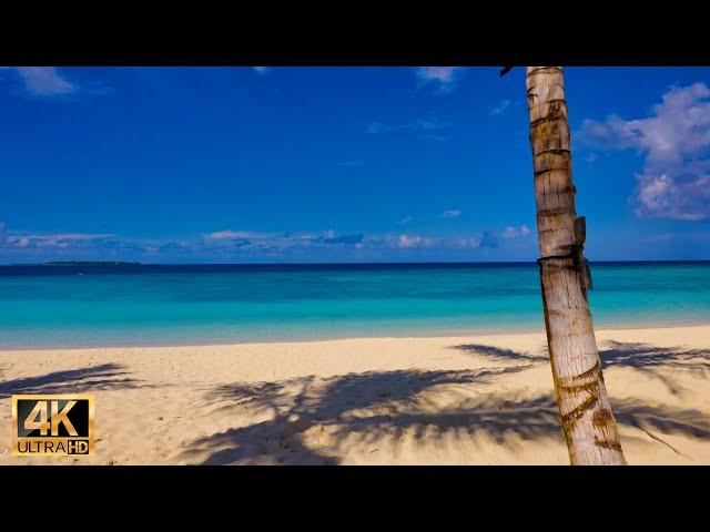 Amilla Maldives ｜Beach and Turquoise sea experience - 4K with wave sounds & relaxing music