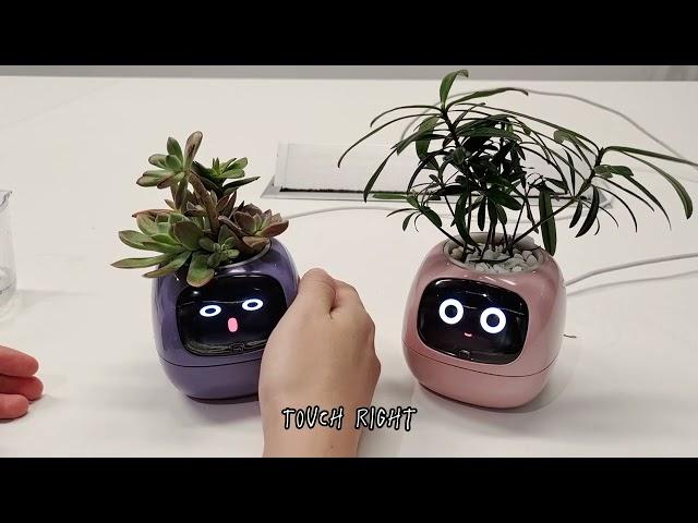 Ivy Smart Planter - Make plants grow smarter!