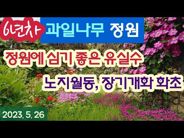 6년차 과일나무정원 #노지월동, 장기개화 꽃나무 #정원에 심기 좋은 유실수