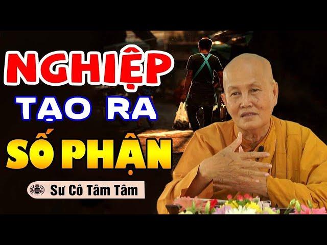 Nghiệp Tạo Ra Số Phận - Sư cô Tâm Tâm