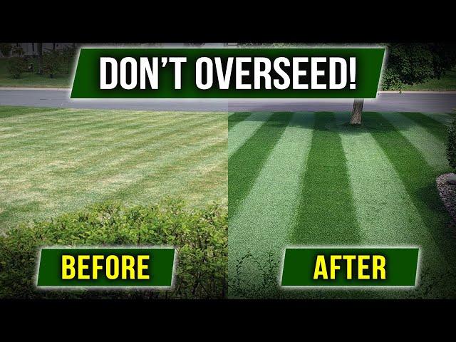 STOP OVERSEEDING! There's a Cheaper Way!!