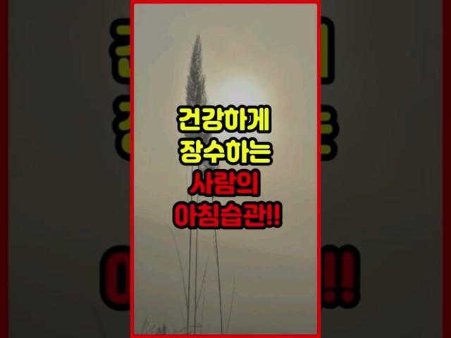 건강하게 장수하는 사람의 아침습관!! #아침습관 #아침루틴 #건강정보
