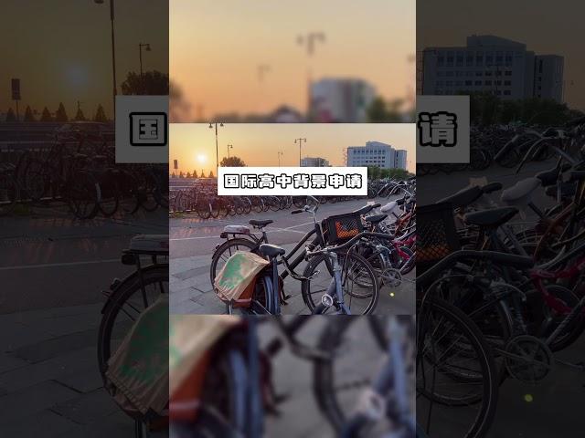 国际高中背景申请荷兰大学有优势吗？ 如何申请荷兰的大学呢？#荷兰留学 #荷兰
