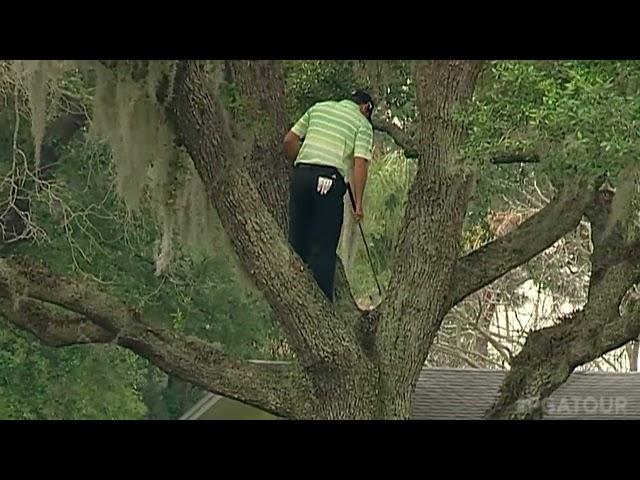 Sergio Garcia climbs a tree to hit one-handed shot at Bay Hill