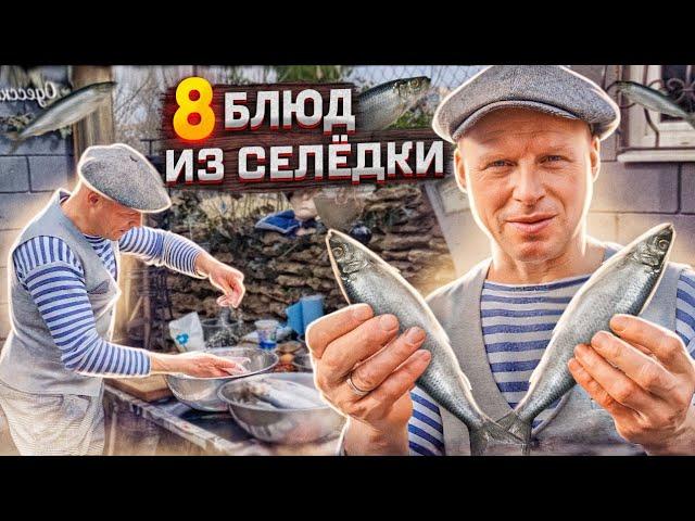 8 dishes from Danubia HERRING 8 fish RECIPES prepared by Lipovan # 204. ENG SUB.